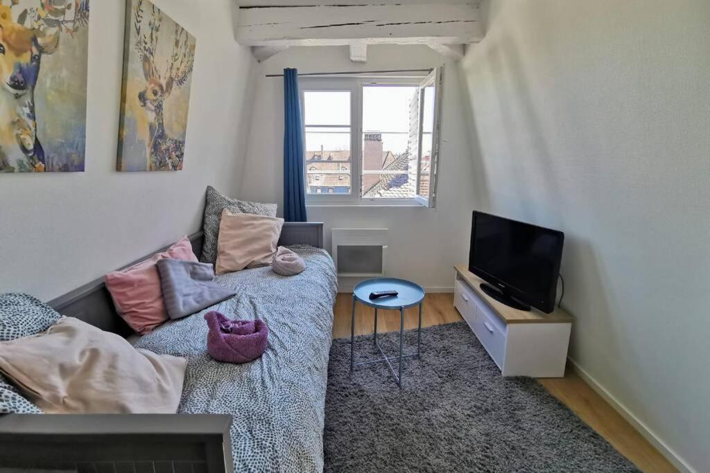 ** Appartement Cathedrale Strasbourg Centre** Exteriör bild